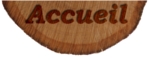 Accueil